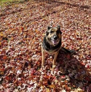 Meet your Posher, Peggy